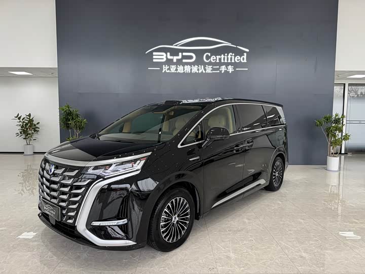 Фото 1 - Denza D9