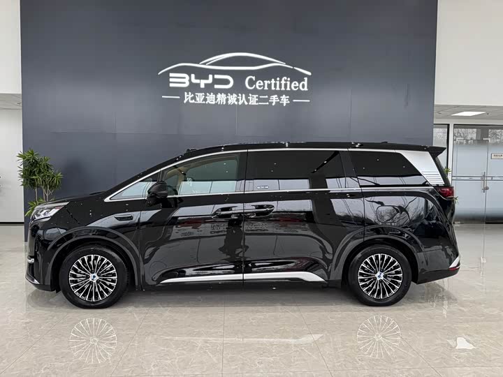 Фото 3 - Denza D9