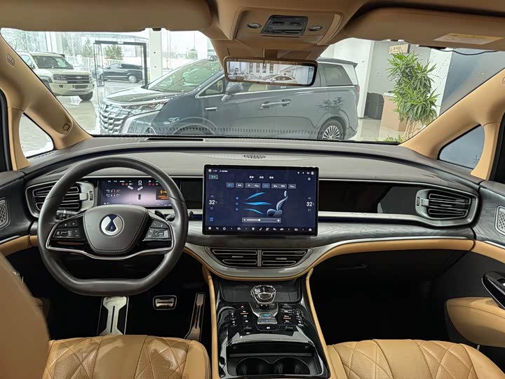 Фото 6 - Denza D9