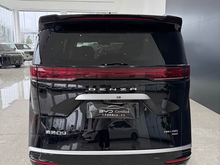 Фото 8 - Denza D9