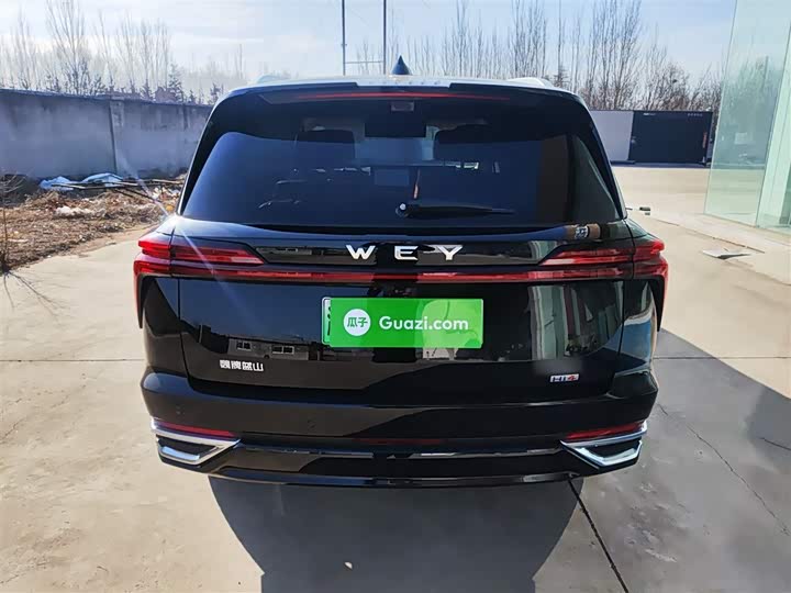 Фото 6 - Wey Lanshan