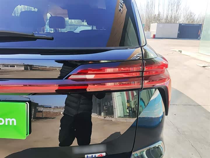 Фото 8 - Wey Lanshan