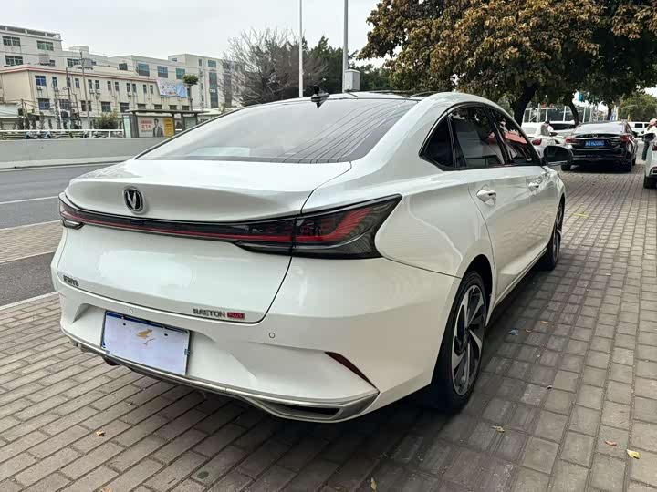 Фото 4 - Changan Raeton Plus