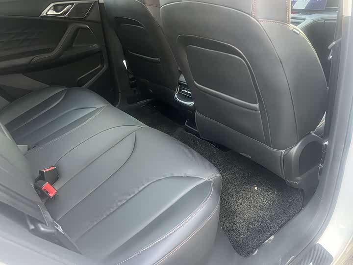 Фото 9 - Roewe RX5