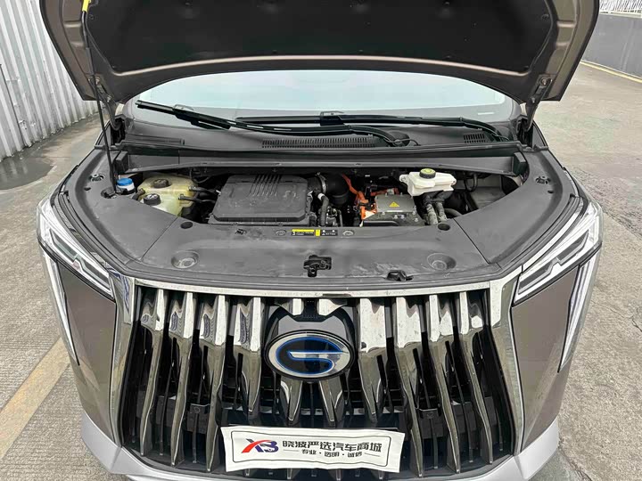 Фото 4 - GAC Trumpchi E9