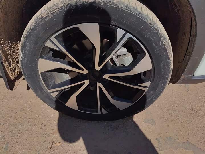 Фото 6 - Geely Tugella S