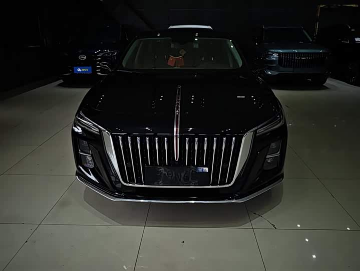 Фото 2 - Hongqi H5