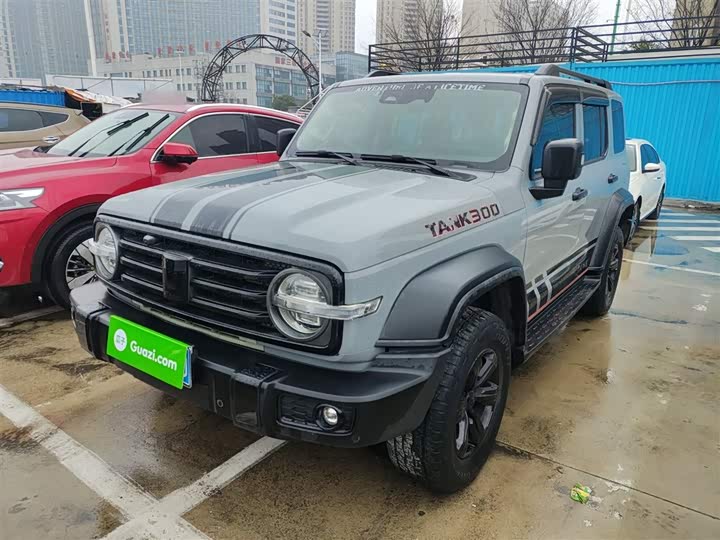 Фото 2 - Tank 300