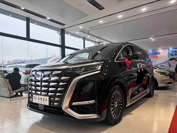 Фото 1 - Denza D9