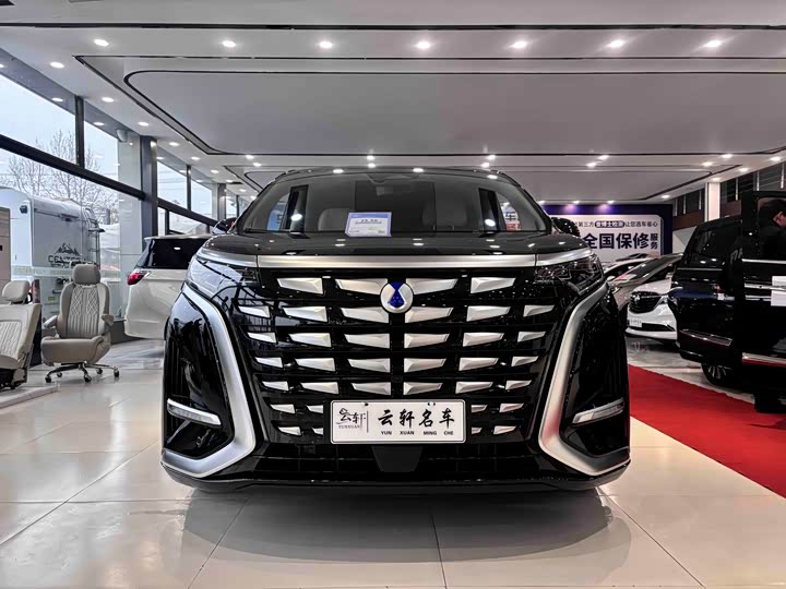 Фото 3 - Denza D9