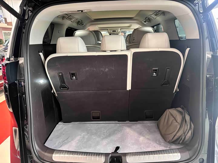 Фото 6 - Denza D9