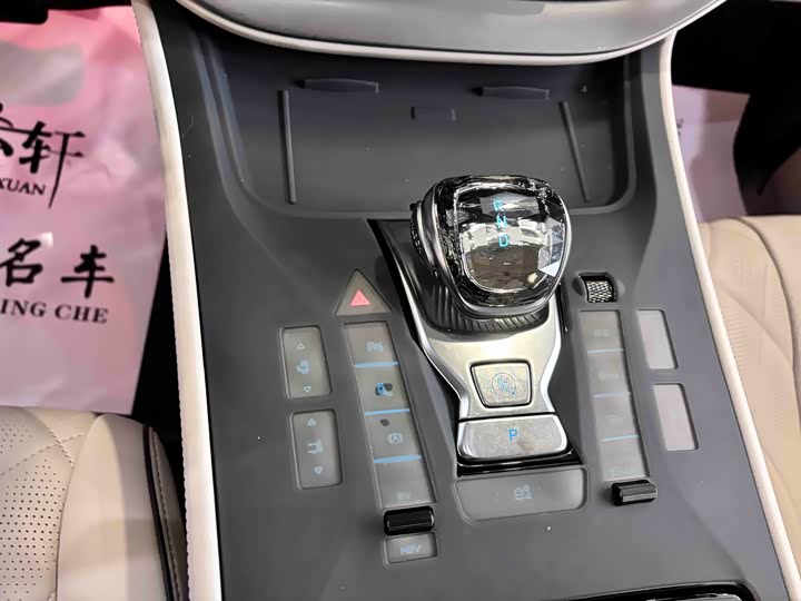 Фото 8 - Denza D9