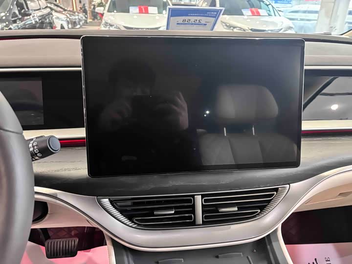 Фото 9 - Denza D9