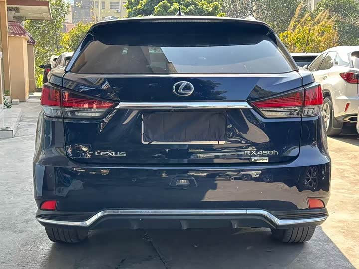 Фото 9 - Lexus RX