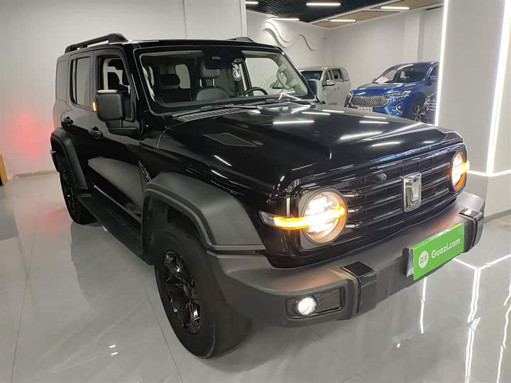 Фото 4 - Tank 300