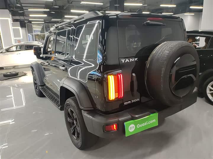 Фото 5 - Tank 300