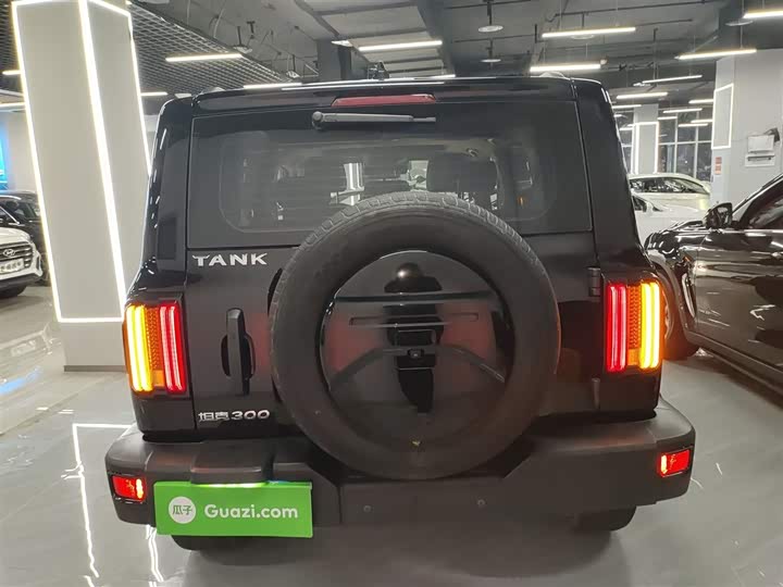 Фото 6 - Tank 300