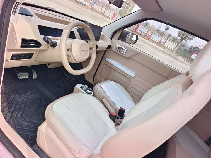 Фото 4 - Geely Galaxy Panda Mini