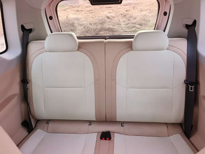 Фото 6 - Geely Galaxy Panda Mini