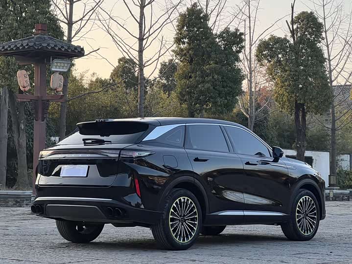 Фото 6 - Exeed RX