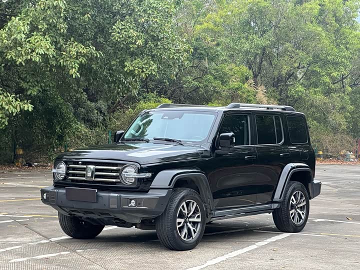 Фото 1 - Tank 300