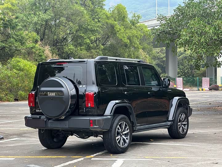 Фото 4 - Tank 300