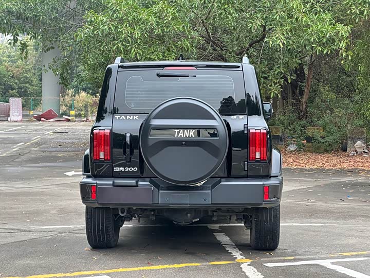 Фото 5 - Tank 300