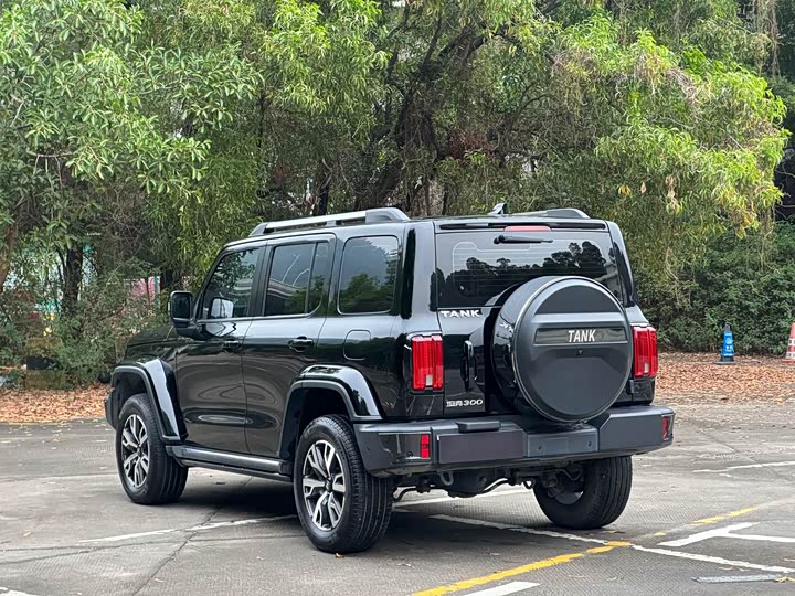 Фото 6 - Tank 300