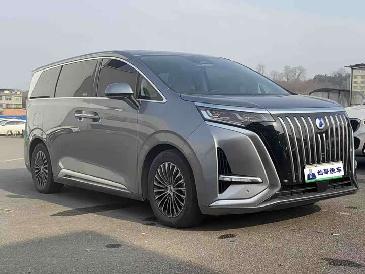 Фото 2 - Denza D9