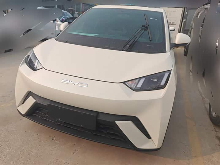 Фото 1 - BYD Seagull