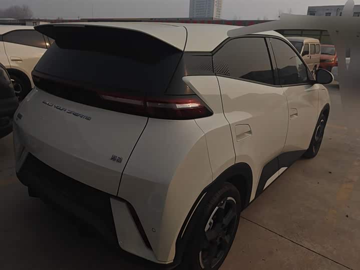 Фото 3 - BYD Seagull