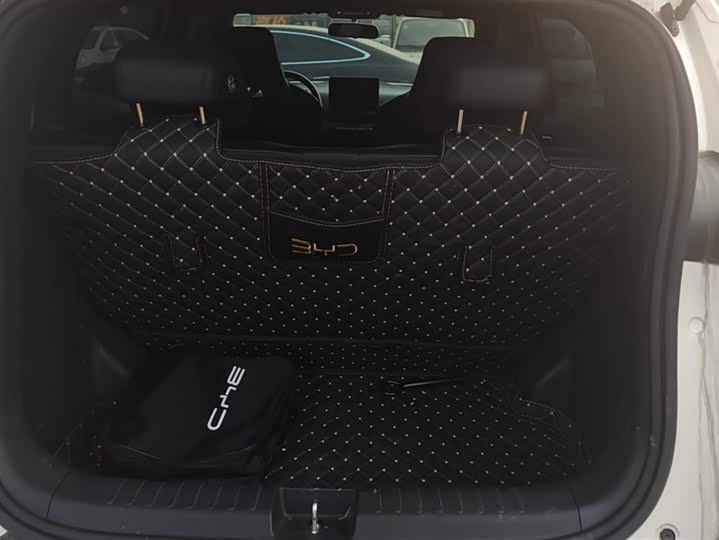 Фото 4 - BYD Seagull