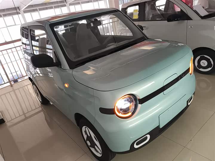 Фото 4 - Geely Galaxy Panda Mini