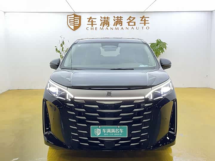 Фото 2 - BYD Xia