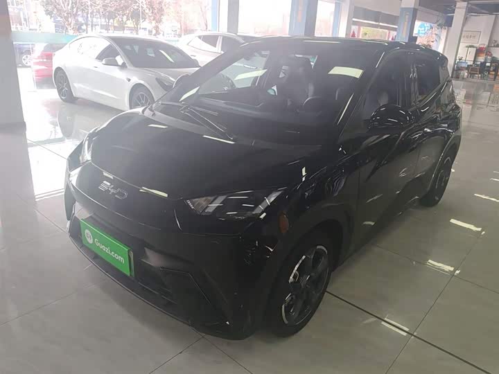 Фото 1 - BYD Seagull