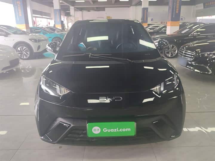 Фото 3 - BYD Seagull