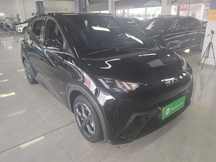 Фото 4 - BYD Seagull