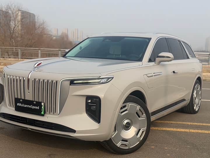 Фото 3 - Hongqi E-HS9