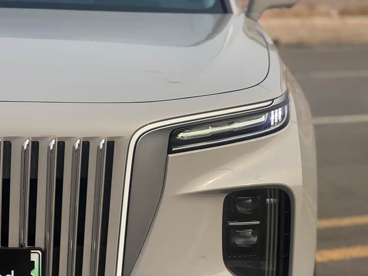 Фото 4 - Hongqi E-HS9