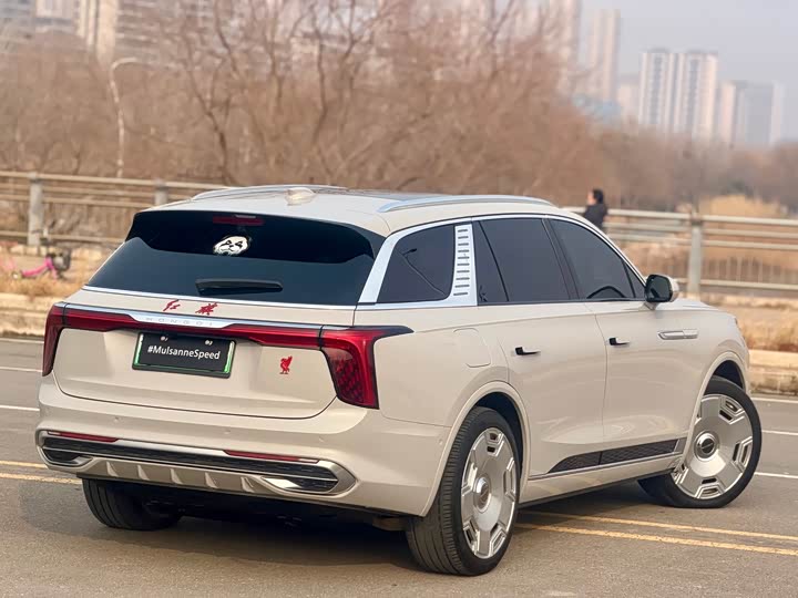 Фото 7 - Hongqi E-HS9