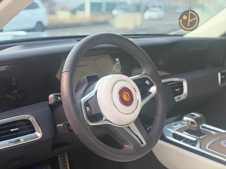 Фото 9 - Hongqi E-HS9