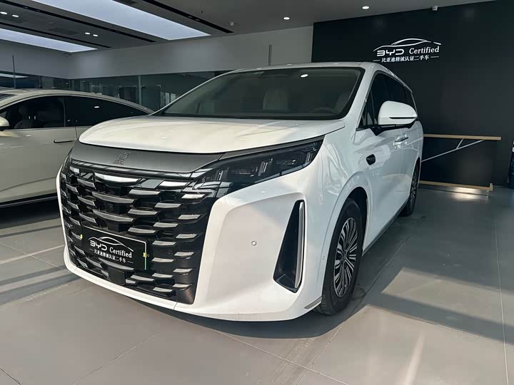 Фото 1 - BYD Xia