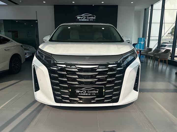 Фото 2 - BYD Xia