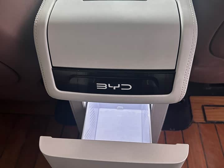 Фото 9 - BYD Xia