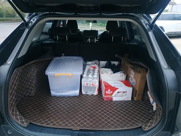 Фото 4 - Toyota Wildlander