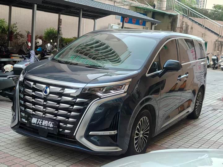 Фото 1 - Denza D9