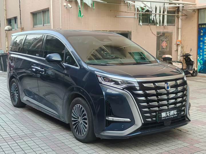 Фото 2 - Denza D9