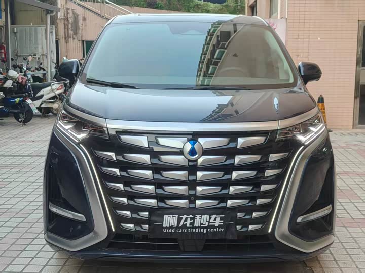 Фото 3 - Denza D9