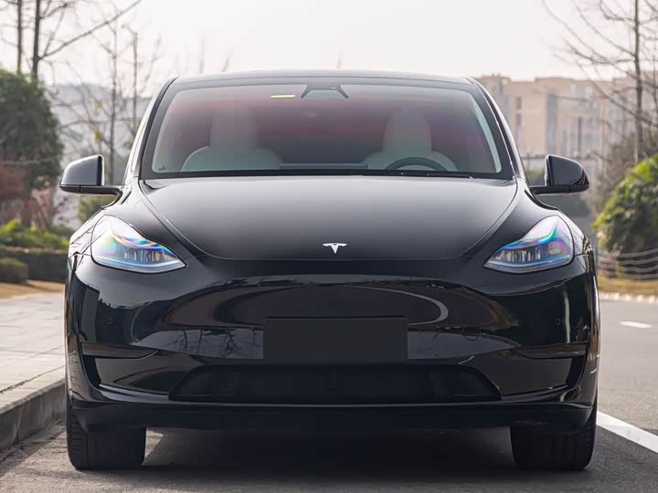 Фото 2 - Tesla Model Y