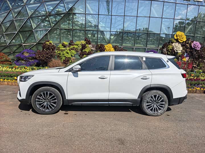 Фото 3 - Jetour X95